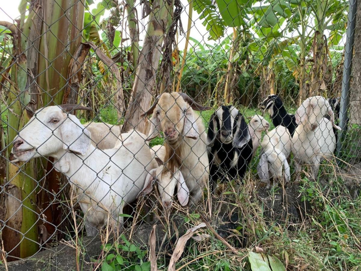 Homestay Tay Xa Trang Bom ภายนอก รูปภาพ