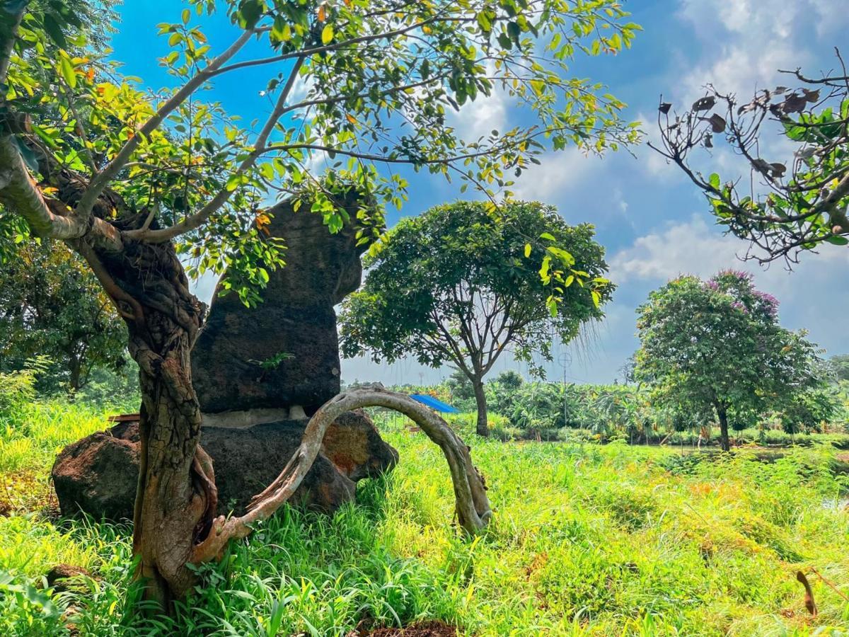 Homestay Tay Xa Trang Bom ภายนอก รูปภาพ