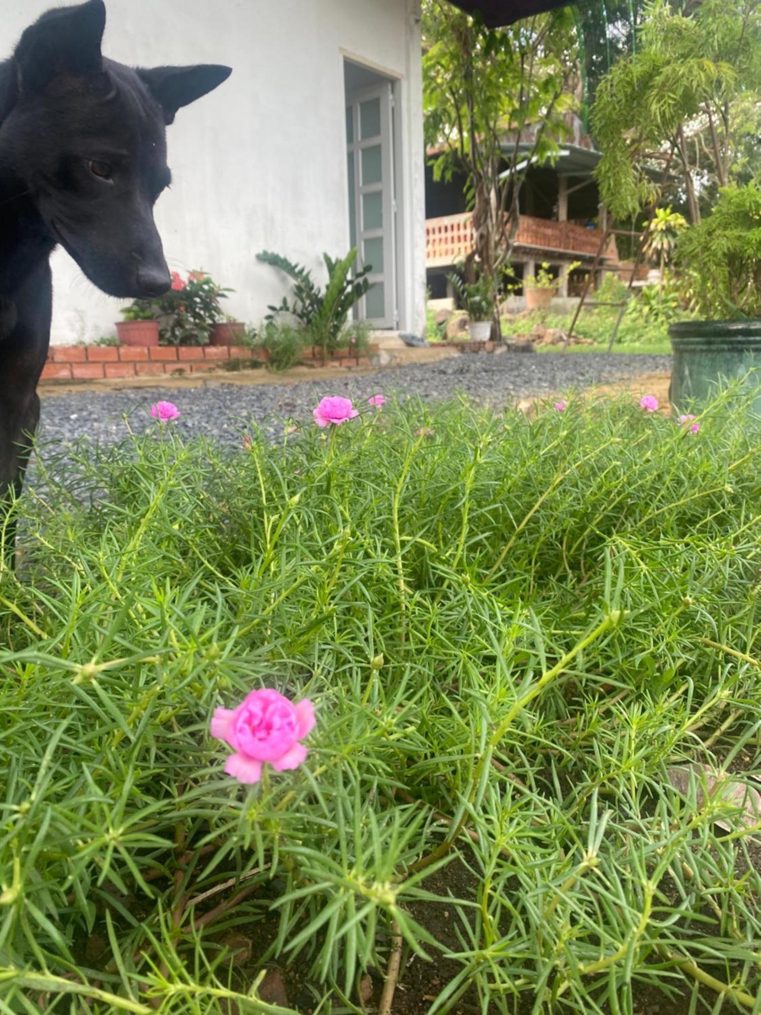 Homestay Tay Xa Trang Bom ภายนอก รูปภาพ