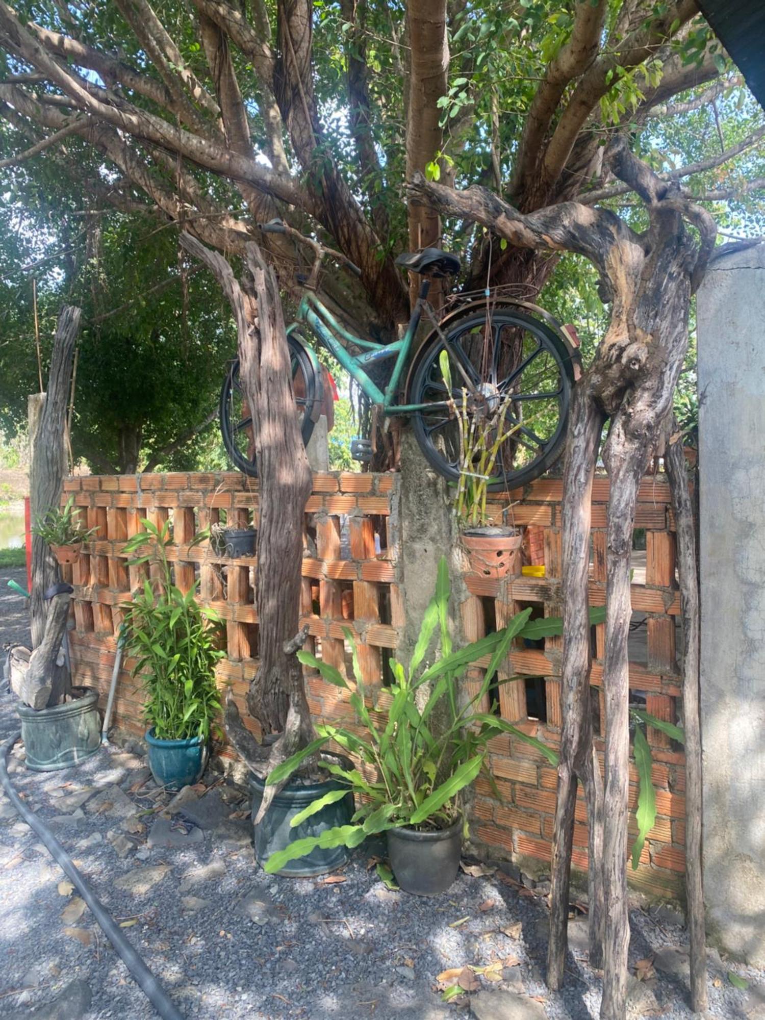 Homestay Tay Xa Trang Bom ภายนอก รูปภาพ