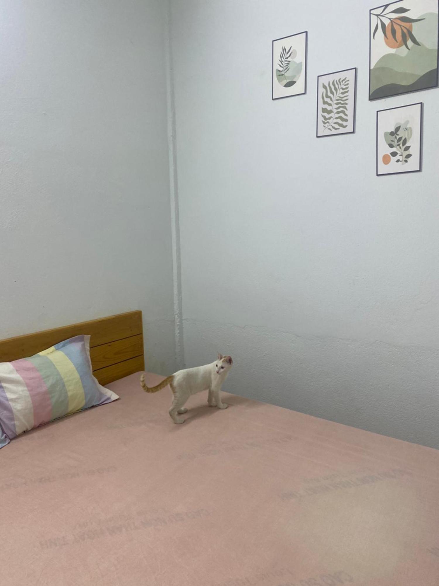 Homestay Tay Xa Trang Bom ภายนอก รูปภาพ