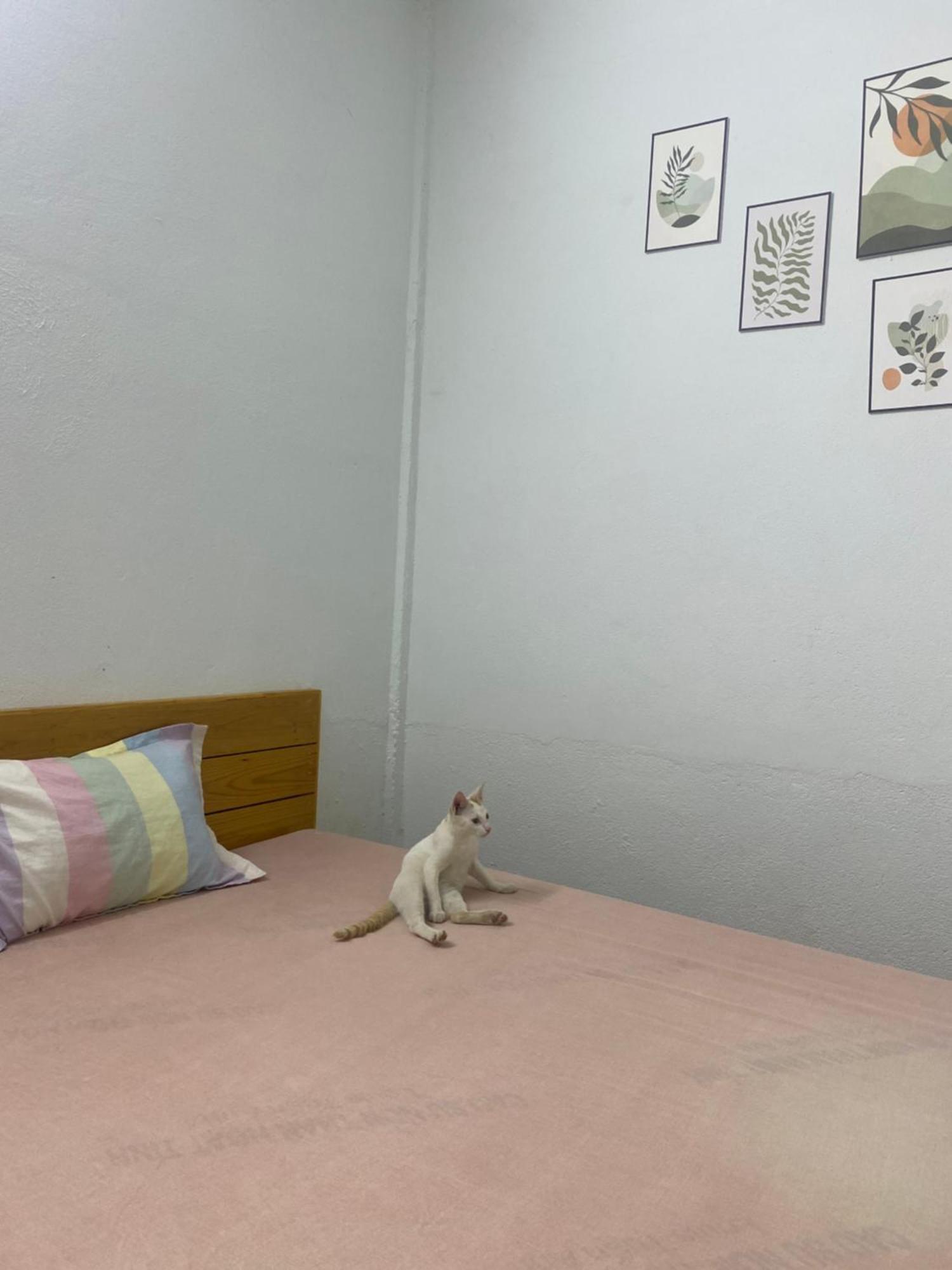 Homestay Tay Xa Trang Bom ภายนอก รูปภาพ